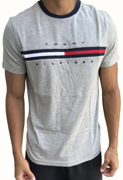 Tommy Hilfiger Gris Rojo Azul